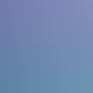 Meet your Posher, Lexi